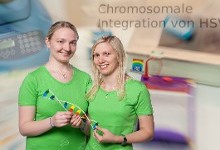 Projekt Chromosomale Integration von HSV-1